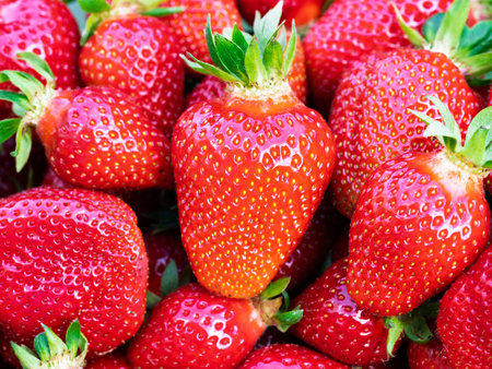 Pile of fresh harvested ripe strawberries (Fragaria Ã ananassa). Full frame. Harvesting strawberry red fruit with green leaves. Organic farming, healthy food, back to nature concept.の写真素材