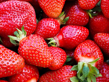 Pile of fresh harvested ripe strawberries (Fragaria × ananassa). Full frame. Harvesting strawberry red fruit with green leaves. Organic farming, healthy food, back to nature concept.の写真素材