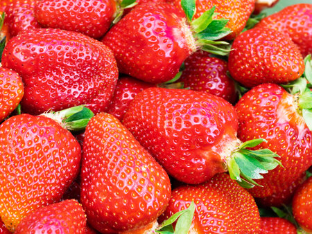 Pile of fresh harvested ripe strawberries (Fragaria Ã ananassa). Full frame. Harvesting strawberry red fruit with green leaves. Organic farming, healthy food, back to nature concept.の写真素材