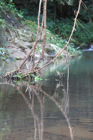 mirror of water