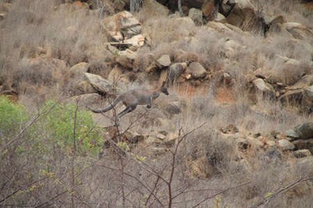 rocky groundの写真素材