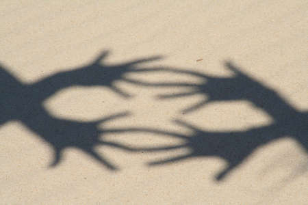 hand shadows
