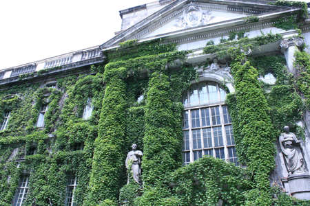 Vine escased castleの写真素材