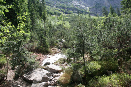 Picturesque mountainsの写真素材