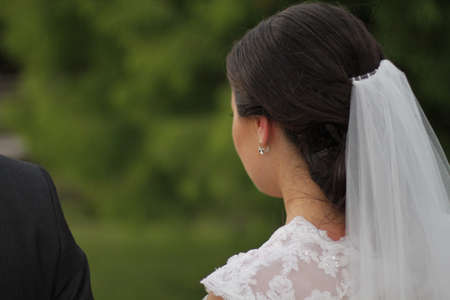 Tulle veilの写真素材