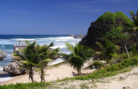 Beautiful caribbean coastlineの写真素材