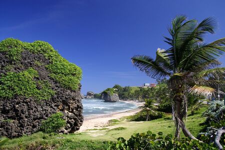 Beautiful caribbean beachの写真素材