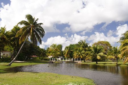 Tropical caribbean gardenの写真素材