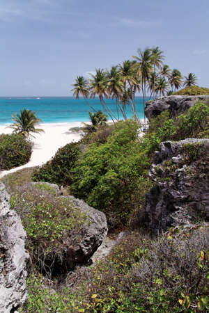 Caribbean Dream Beach / Bottom Bay / Barbadosの写真素材