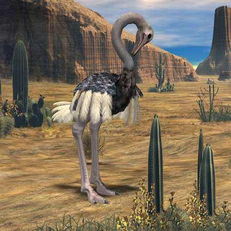 3D Render of an Ostrichの写真素材
