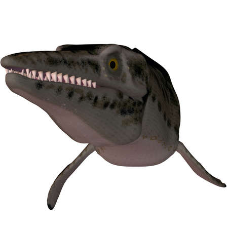 3D Render of an Mosasaur-3D Lepidosaursの写真素材