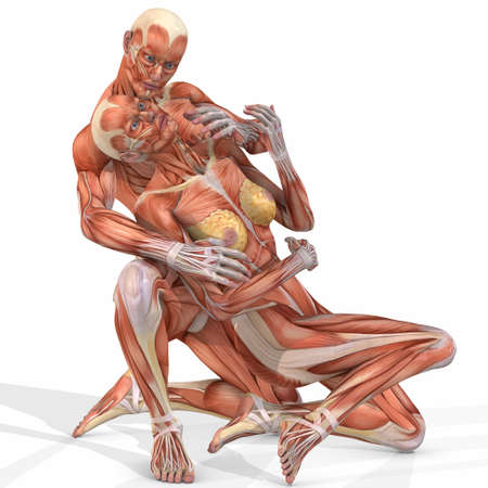 Female And Male Anatomic Body - Coupleの写真素材