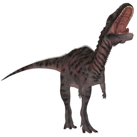 Majungasaurus Crenatissimus - 3D Dinosaur