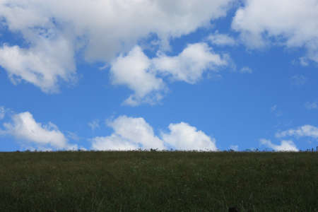 Summer in Austria の写真素材