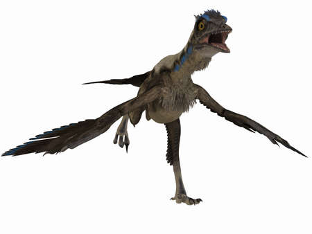 Archaeopteryx - 3D Dinosaurの写真素材