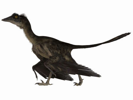 Archaeopteryx - 3D Dinosaurの写真素材