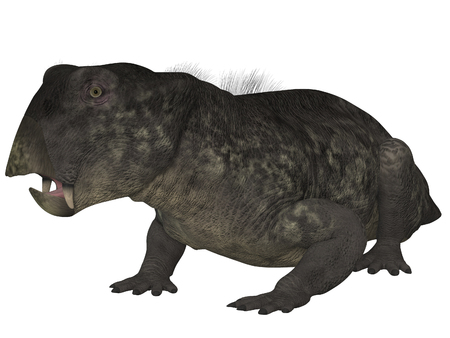 Lystrosaurus- 3D Dinosaurの写真素材