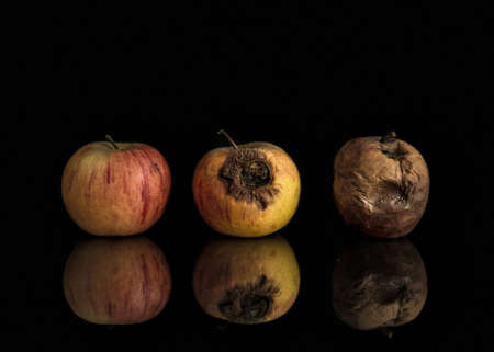 Line of three apples including good, bad and completely rotten. Set on black background with reflection. Illustrates progression from health to decay, also can be metaphoircal for change from good to evil.の写真素材