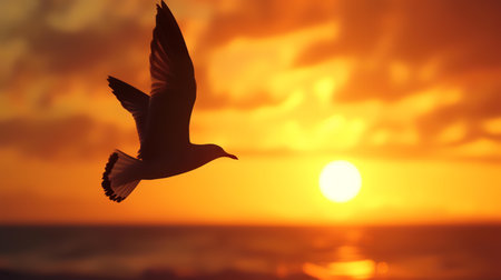 Seagull flying over the sea with sunset background. Sunset timeの素材