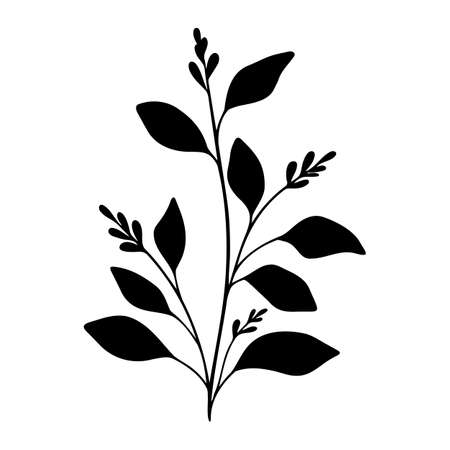Branch vector floral element. Simple black tree part with berry and leaves. Hand drawn plant.のイラスト素材