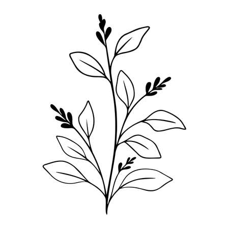 Simple black branch with berry and leaves. Hand drawn plant. Botanical vector floral element.のイラスト素材