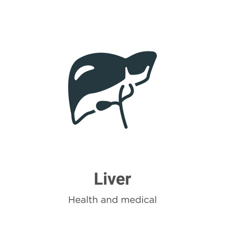 Liver vector icon on white background. Flat vector liver icon symbol sign from modern health and medical collection for mobile concept and web apps design.のイラスト素材
