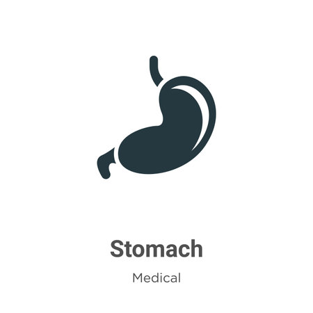 Stomach vector icon on white background. Flat vector stomach icon symbol sign from modern medical collection for mobile concept and web apps design.のイラスト素材