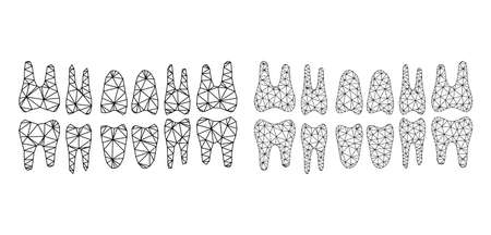 Mesh vector teeth jaw icons. Mesh wireframe teeth jaw images in low poly style with structured triangles, points and linear items. Mesh concept of triangulated teeth jaw, on a white background.のイラスト素材