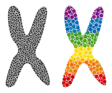 Chromosome collage icon of circle elements in different sizes and rainbow colored color tinges. A dotted LGBT-colored chromosome for lesbians, gays, bisexuals, and transgenders.のイラスト素材