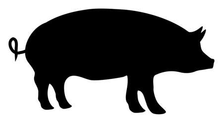 Pig raster icon. A flat illustration design of Pig icon on a white background.の写真素材