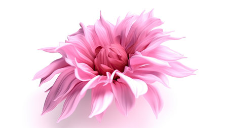 Pink dahlia flower isolated on white background. 3d renderの素材