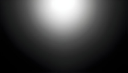 Abstract black and white background with spotlight effect. 3d rendering.の素材