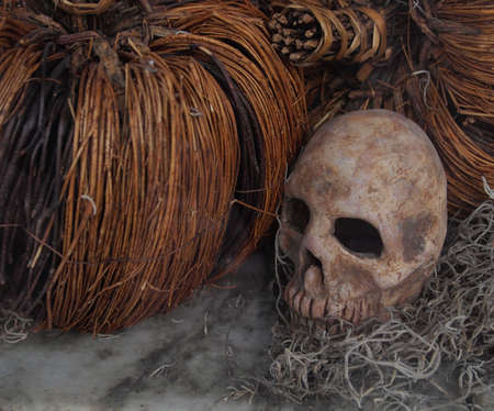 A spooky Halloween still life featuring a creepy, grinning skull with hollow eyes. の写真素材