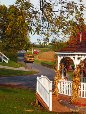 A bright yellow school bus drives along a winding country road on an autumn afternoon 