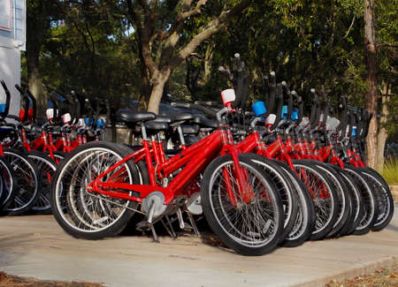 Rows of red bicycles lined up and ready to be rented on a sunny day at a vacation destination 