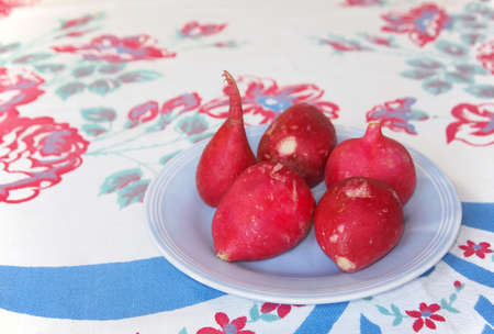 A small dish of fresh garden radishes, ready for snacking, on a blue vintage dish on an old floral table cloth.の写真素材