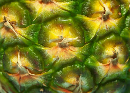 Closeup of the skin texture on the outside of a pineapple fruit.の写真素材