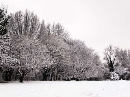 Snow covered landscape featuring the trees at the edge of a fenced in  public park, with bleachers hidden in the background.の写真素材