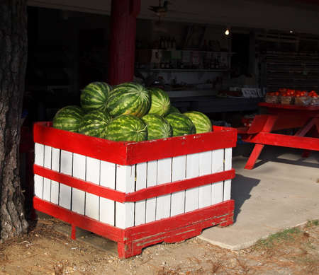 A red and white painted wooden bin full of ripe, green watermelons for sale at a country market.の写真素材