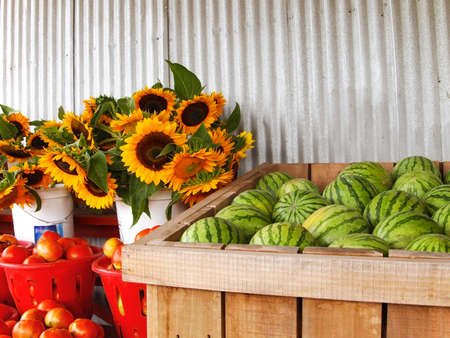 Watermelons, sunflowers, and tomatoes are merchandised for sale in various bins, buckets, and baskets at a rural farm market.の写真素材