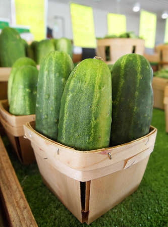 Rustic baskets of freshly harvested organic, green cucumbers for sale at a local farmer's market in the countryside.の写真素材