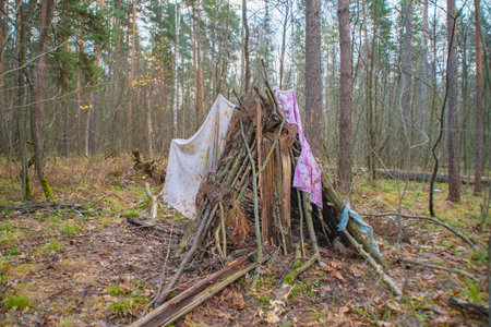 A primitive hut made of branches and rags in the park.