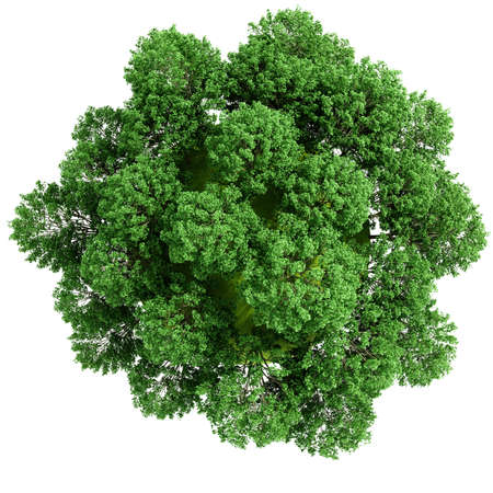 3d green planet full of trees, concept