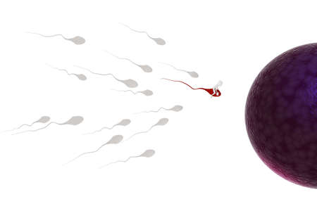 3d man riding a sperm cell の写真素材