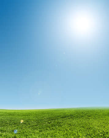 image of green grass field  and clear blue skyの写真素材