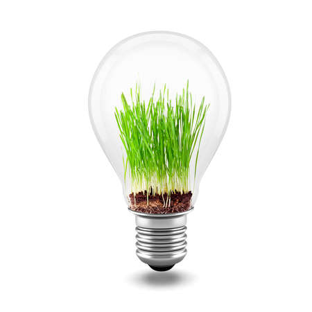 3d close up image of green grass inside a light bulb の写真素材
