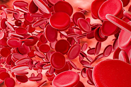3d red blood cells