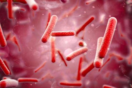3d render of bacteria, cells, closeup