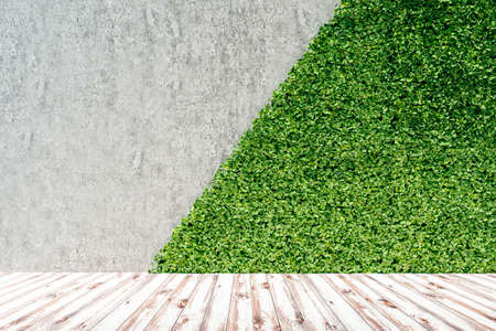 3d render of green fresh vertical garden and concrete wall