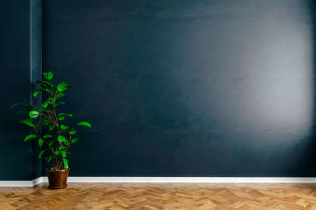 3d interior with blank wall and wooden floor, render